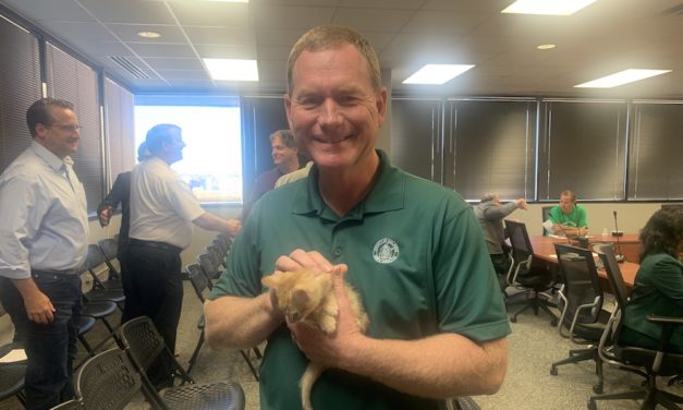 County Director Smitten By Cute Shelter Kitty Who Now Has A Forever Home