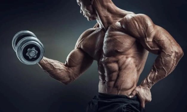 Best Supplements for Muscle Growth (Top 5 Legal Supplements in 2023)