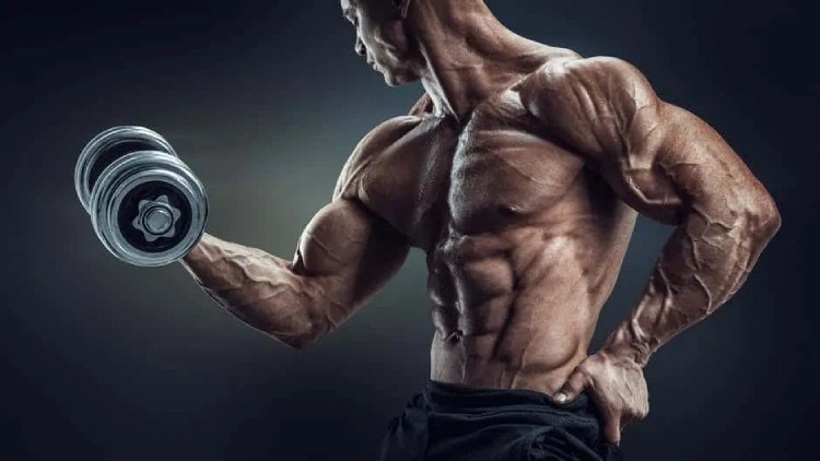 Best Supplements for Muscle Growth (Top 5 Legal Supplements in 2023)