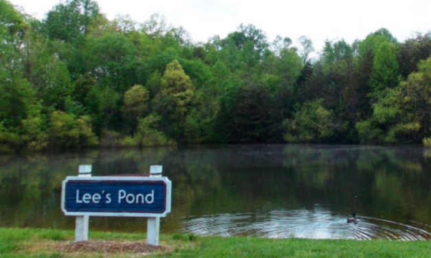 County To Spend $10 Million-Plus On Recovery Center At Gibson Park