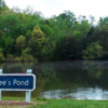 County To Spend $10 Million-Plus On Recovery Center At Gibson Park