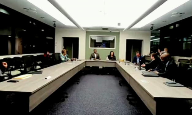 Councilmembers Have Difficulty Following Work Session Remotely