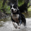 Don’t Be A Geek – Take Part In Creek Week