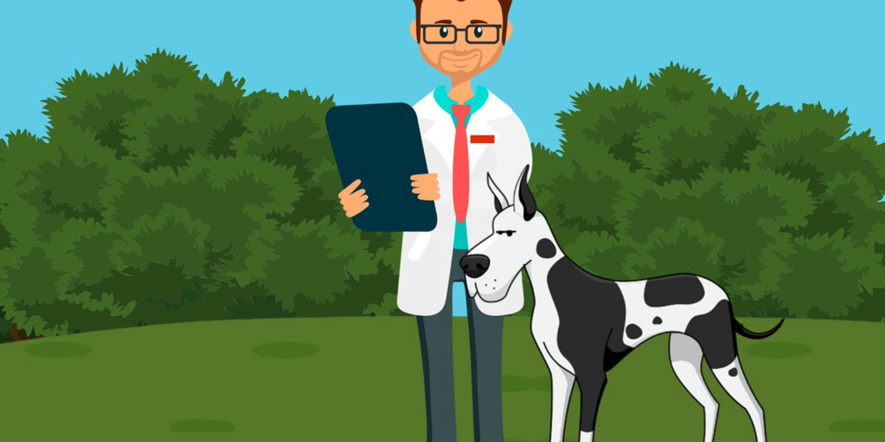 North Carolina Is In Top Five States For Veterinarian Demand