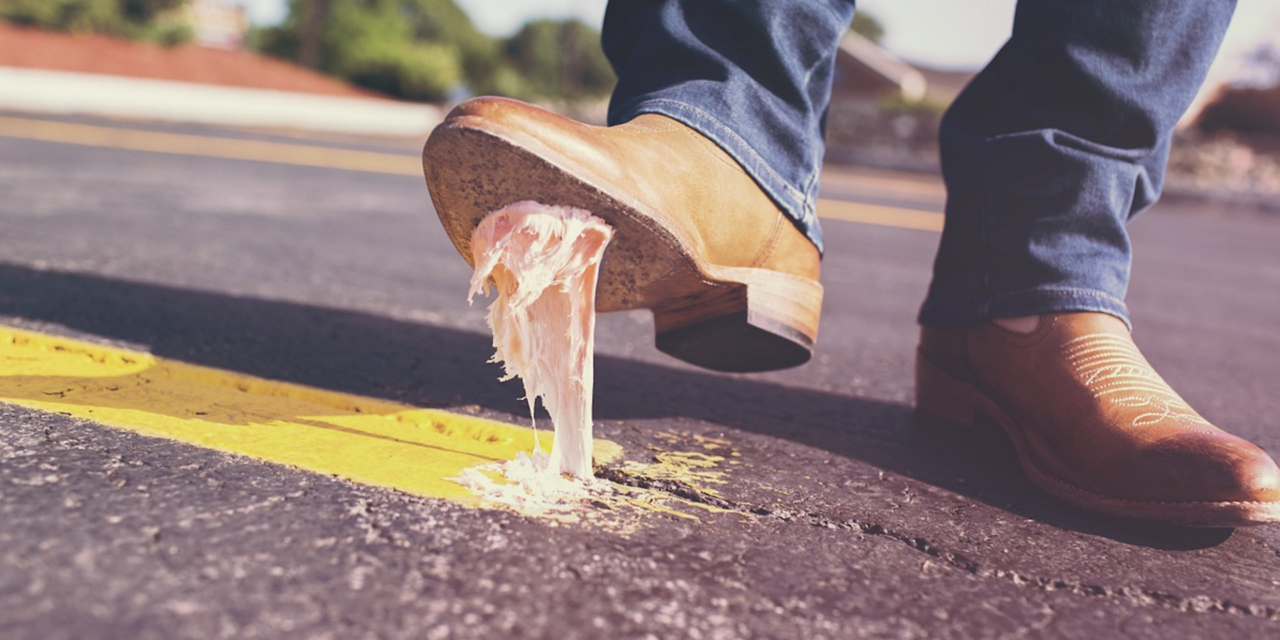 North Carolina Gearing Up For Fall Litter Sweep