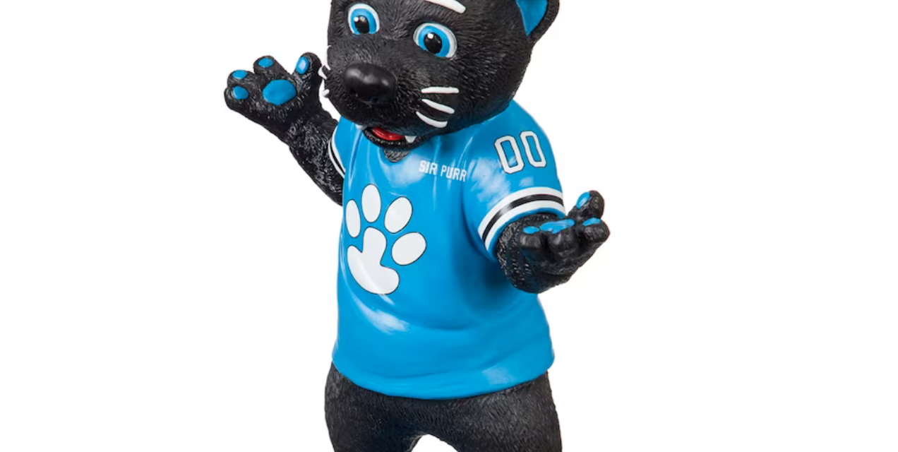 Make-Or-Break Game For Carolina Panthers Saturday