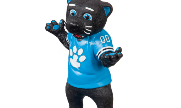 Make-Or-Break Game For Carolina Panthers Saturday