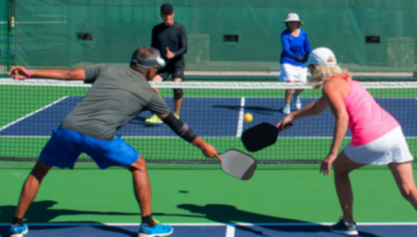 Pickleball Lovers Speak Now Or Forever Hold Your Paddle