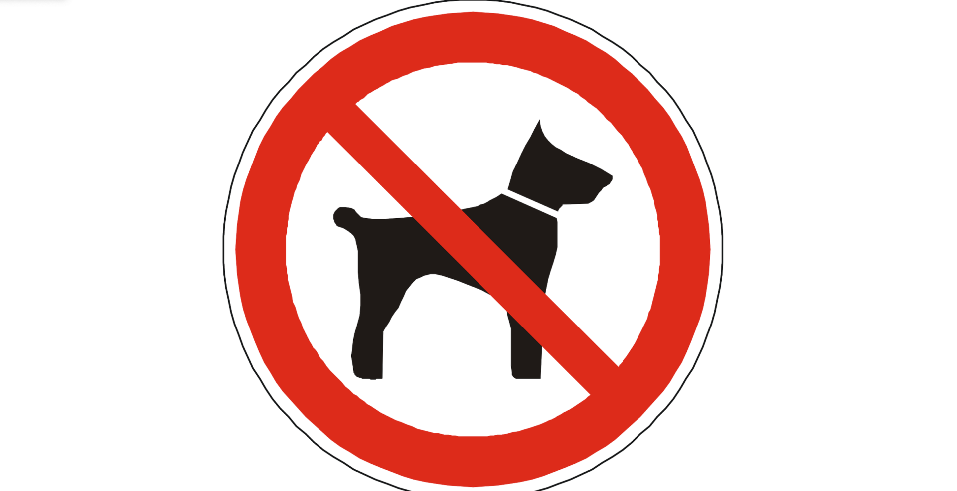 Guilford County Animal Shelter Pauses Intake Of Dogs
