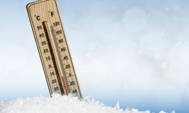 Use Plastic Dog Bowls And Other Arctic Blast Advice