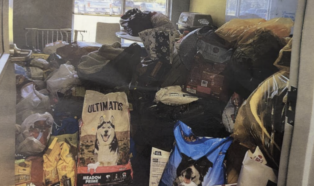 County Attempts New Plan To Fix Animal Shelter Donation Mess