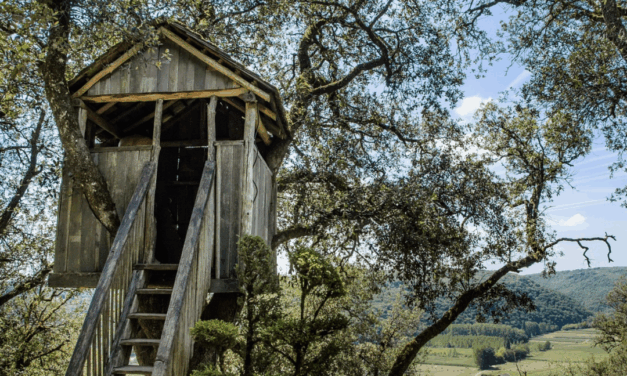 County Parks Master Plan Calls For $2 Million Treehouse