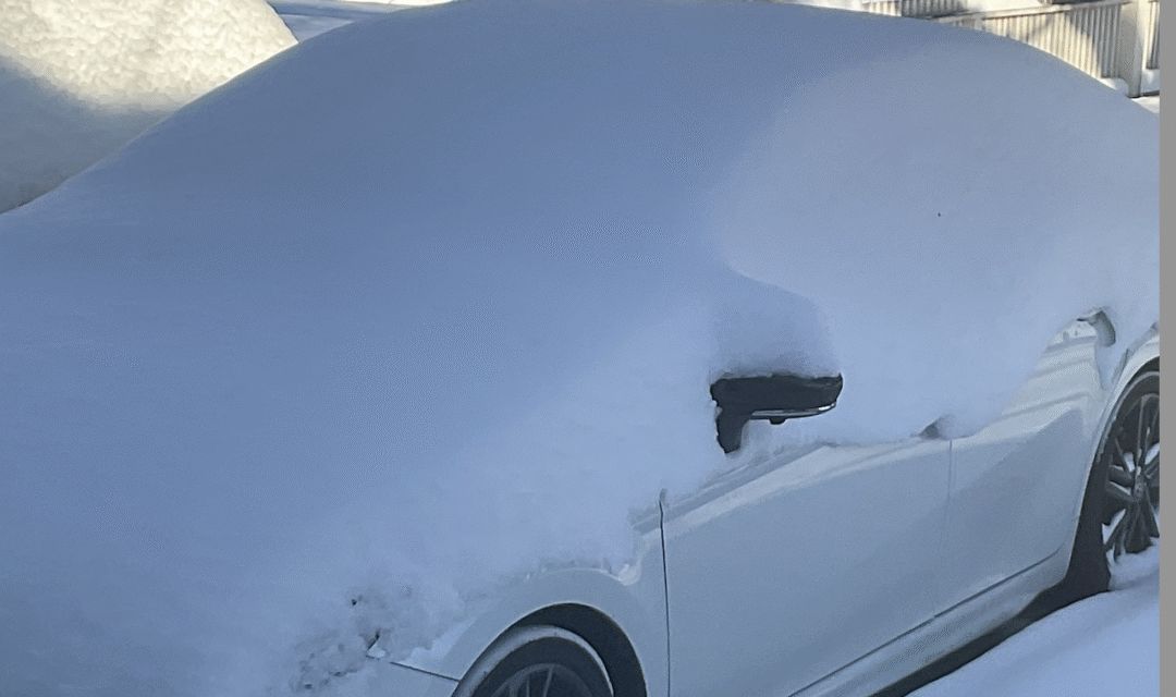 For Goodness Sakes, Just Stay In Monday And Don’t Put Out The Trash