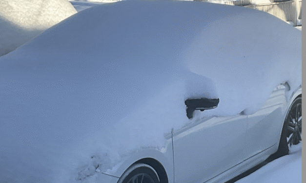 For Goodness Sakes, Just Stay In Monday And Don’t Put Out The Trash