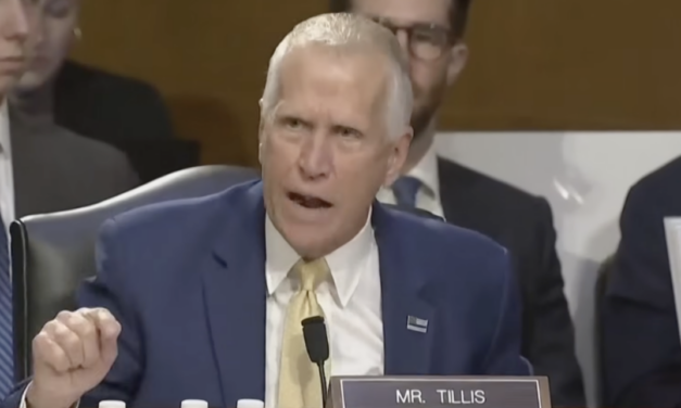 Senator Thom Tillis Rakes Kristi Noem Over The Coals
