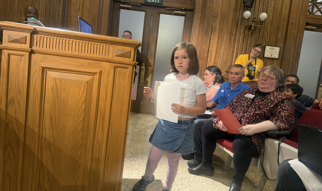 Public Hearing On Budget Has Taxes, Schools, Sheriff And Medical Emergency