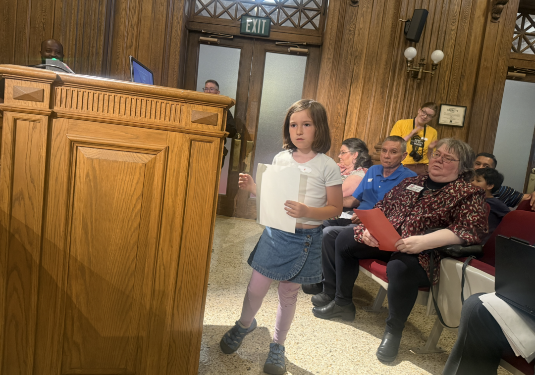 Public Hearing On Budget Has Taxes, Schools, Sheriff And Medical Emergency