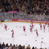 Canes Bring The Stanley Cup Back To North Carolina After Two Decades