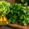 Continue To Beware Of Lettuce – And Now Parsley And Cilantro