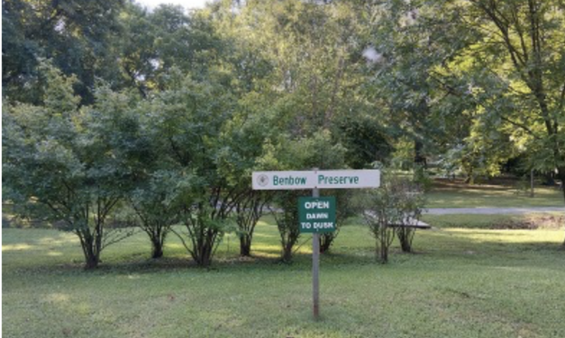 Pitch In And Clean Up Benbow Preserve