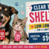 Guilford County Animal Shelter Has Fire Sale On Cats And Dogs