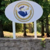 Summerfield Town Manager Rollins Announces Surprise Retirement